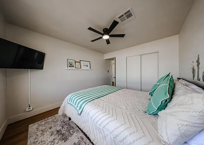 #4 The Cozy Cactus Budget Friendly Comfy Phoenix
